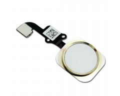 iPhone 6S Home Button Flex Gold